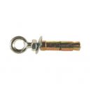 Eye Bolt Shield Anchors